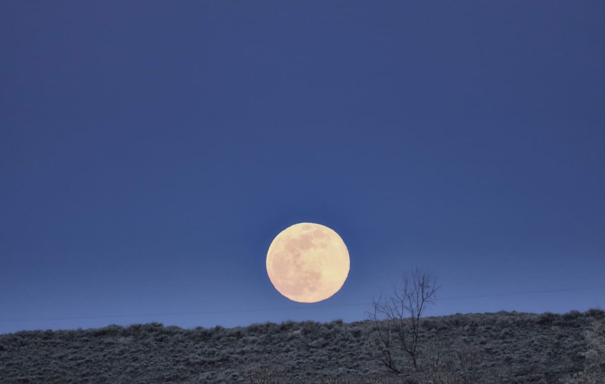 The Pink Super Moon